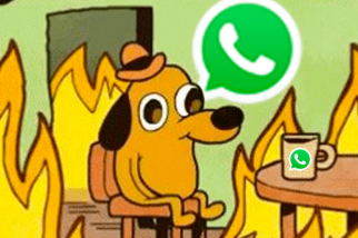 WhatsApp中有人决定您需要视频笔记