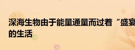 深海生物由于能量通量而过着“盛宴或饥荒”的生活