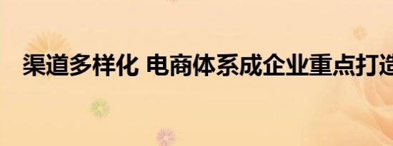 渠道多样化 电商体系成企业重点打造项目