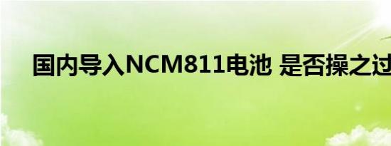 国内导入NCM811电池 是否操之过急？