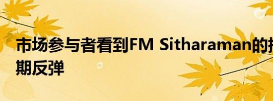 市场参与者看到FM Sitharaman的措施后短期反弹