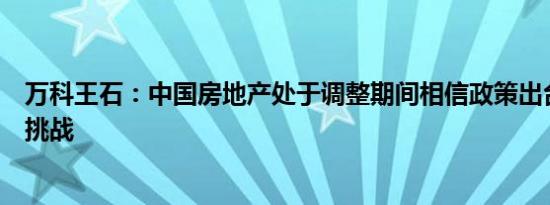 万科王石：中国房地产处于调整期间相信政策出台可以克服挑战