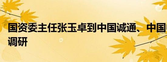 国资委主任张玉卓到中国诚通、中国中车集团调研