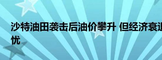 沙特油田袭击后油价攀升 但经济衰退令人担忧