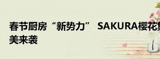 春节厨房“新势力” SAKURA樱花集成灶完美来袭