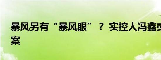 暴风另有“暴风眼”？ 实控人冯鑫或涉罗静案