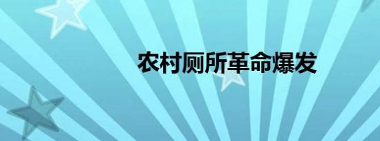 农村厕所革命爆发