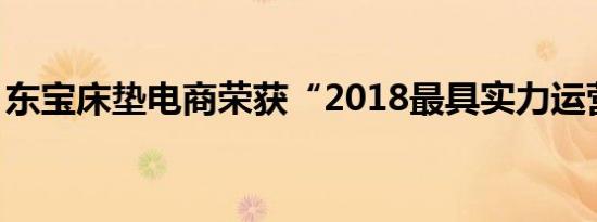 东宝床垫电商荣获“2018最具实力运营团队”