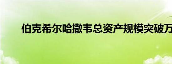 伯克希尔哈撒韦总资产规模突破万亿