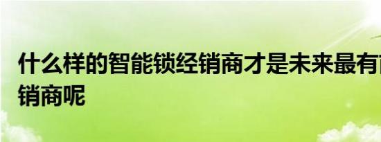 什么样的智能锁经销商才是未来最有前途的经销商呢