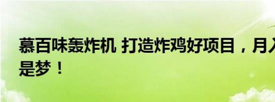 慕百味轰炸机 打造炸鸡好项目，月入过万不是梦！