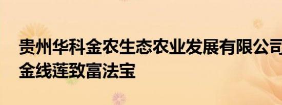 贵州华科金农生态农业发展有限公司 御贵草金线莲致富法宝