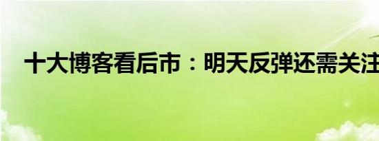 十大博客看后市：明天反弹还需关注两点