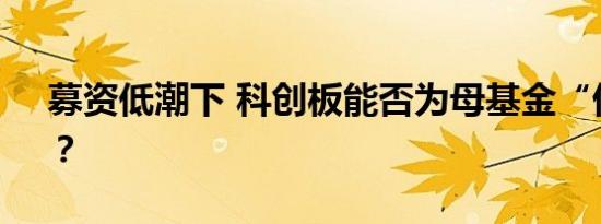 募资低潮下 科创板能否为母基金“借东风”？