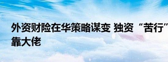 外资财险在华策略谋变 独资“苦行”不如背靠大佬