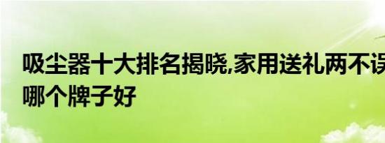 吸尘器十大排名揭晓,家用送礼两不误!吸尘器哪个牌子好