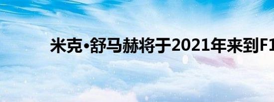 米克·舒马赫将于2021年来到F1