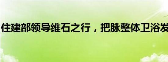 住建部领导维石之行，把脉整体卫浴发展方向