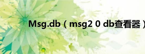 Msg.db（msg2 0 db查看器）