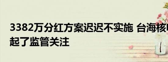 3382万分红方案迟迟不实施 台海核电成功引起了监管关注