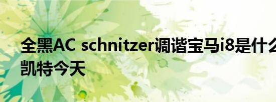 全黑AC schnitzer调谐宝马i8是什么样子的凯特今天