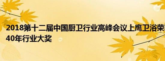 2018第十二届中国厨卫行业高峰会议上鹰卫浴荣获改革开放40年行业大奖