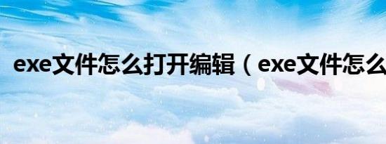 exe文件怎么打开编辑（exe文件怎么打开）