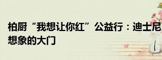 柏厨“我想让你红”公益行：迪士尼之旅开启想象的大门