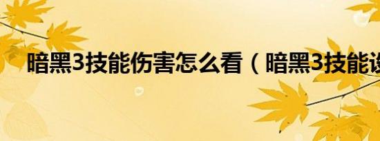 暗黑3技能伤害怎么看（暗黑3技能设置）