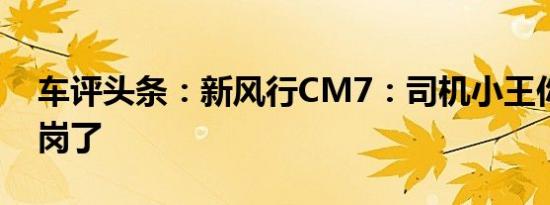 车评头条：新风行CM7：司机小王你可以下岗了