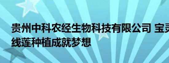 贵州中科农经生物科技有限公司 宝灵圣草金线莲种植成就梦想