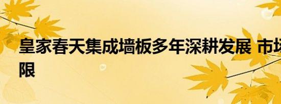 皇家春天集成墙板多年深耕发展 市场潜力无限