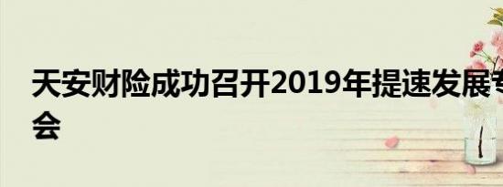 天安财险成功召开2019年提速发展专题研讨会