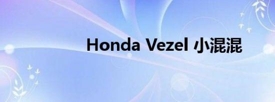 Honda Vezel 小混混