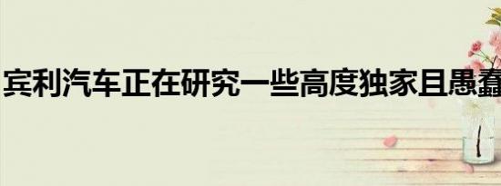 宾利汽车正在研究一些高度独家且愚蠢的东西