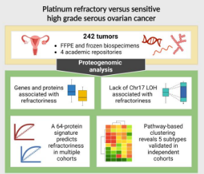 卵巢癌发现新的生物标志物可以预测哪些患者对化疗没有反应