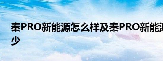 秦PRO新能源怎么样及秦PRO新能源报价多少