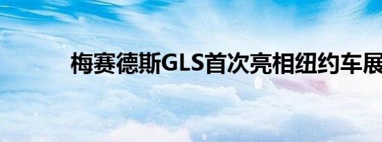 梅赛德斯GLS首次亮相纽约车展