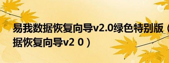 易我数据恢复向导v2.0绿色特别版（易我数据恢复向导v2 0）