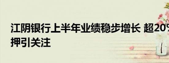 江阴银行上半年业绩稳步增长 超20%股权质押引关注