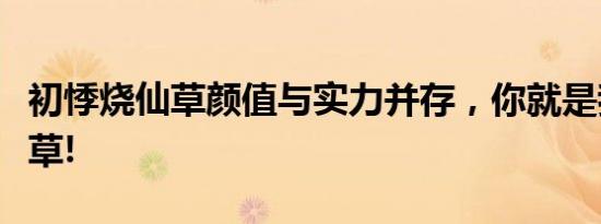 初悸烧仙草颜值与实力并存，你就是我的烧仙草!