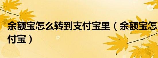 余额宝怎么转到支付宝里（余额宝怎么转到支付宝）