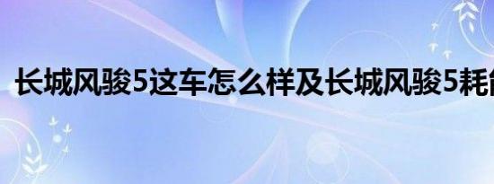 长城风骏5这车怎么样及长城风骏5耗能低吗