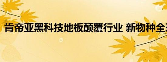 肯帝亚黑科技地板颠覆行业 新物种全球首发