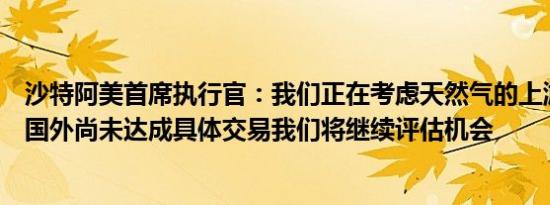 沙特阿美首席执行官：我们正在考虑天然气的上游投资但在国外尚未达成具体交易我们将继续评估机会