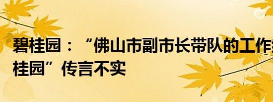 碧桂园：“佛山市副市长带队的工作组进驻碧桂园”传言不实