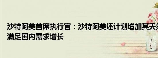 沙特阿美首席执行官：沙特阿美还计划增加其天然气产能以满足国内需求增长