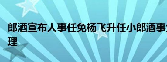 郎酒宣布人事任免杨飞升任小郎酒事业部总经理