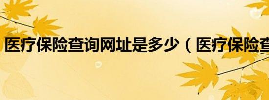 医疗保险查询网址是多少（医疗保险查询网）