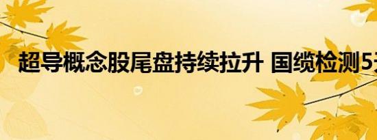 超导概念股尾盘持续拉升 国缆检测5天4板